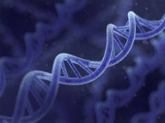 Co lze vyčíst z DNA