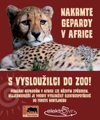 Podpořte gepardy v Africe