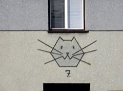 Za kočkami po Česku