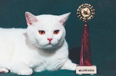 Nejen modří plyšáci